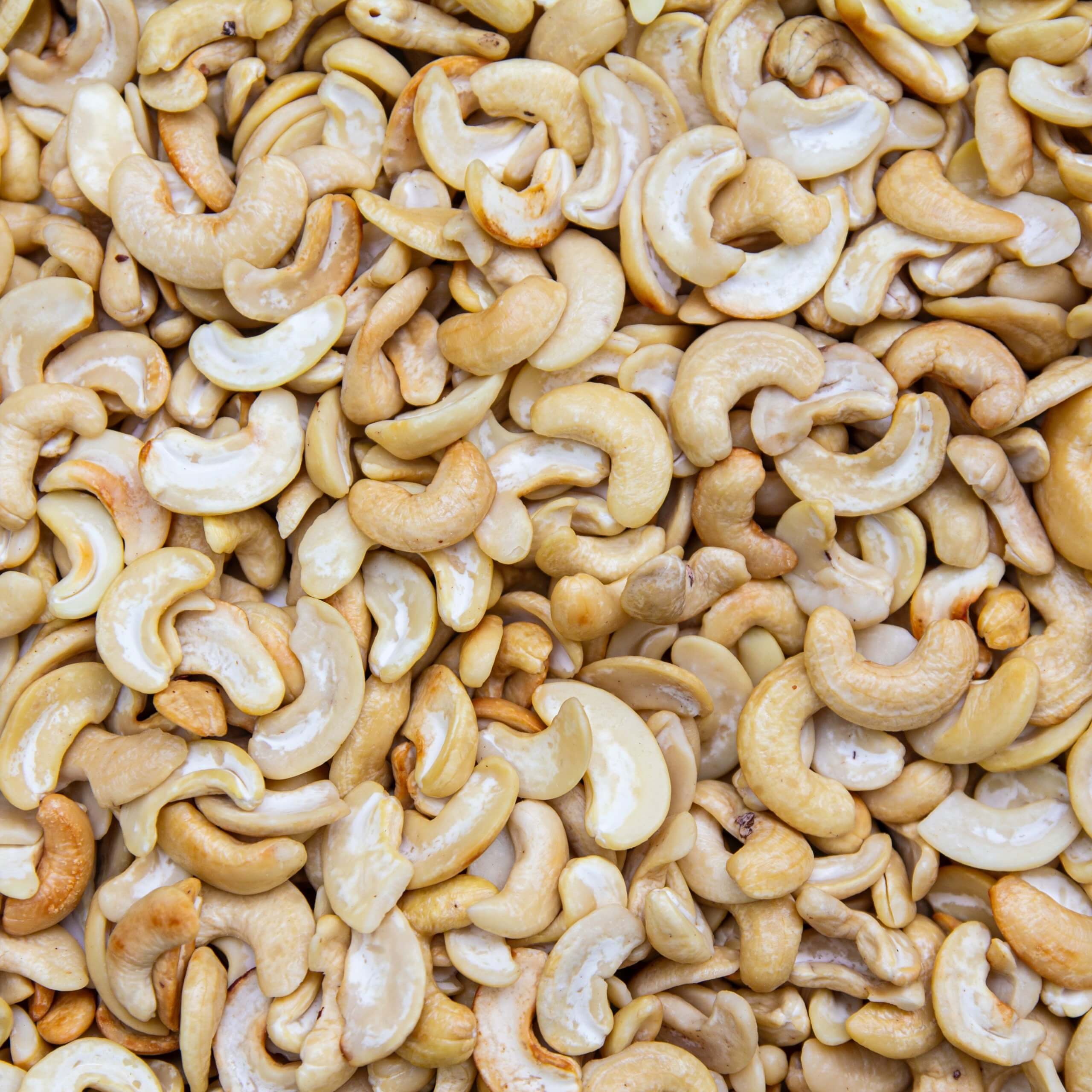 vegan, vegetarisch, private label, tofu, protein, linsen, edamame, tempeh, cashew, nährhefe, quinoa, bohnen, veganismus, vegetarismus, veganer, vegetarier, proteinzufuhr