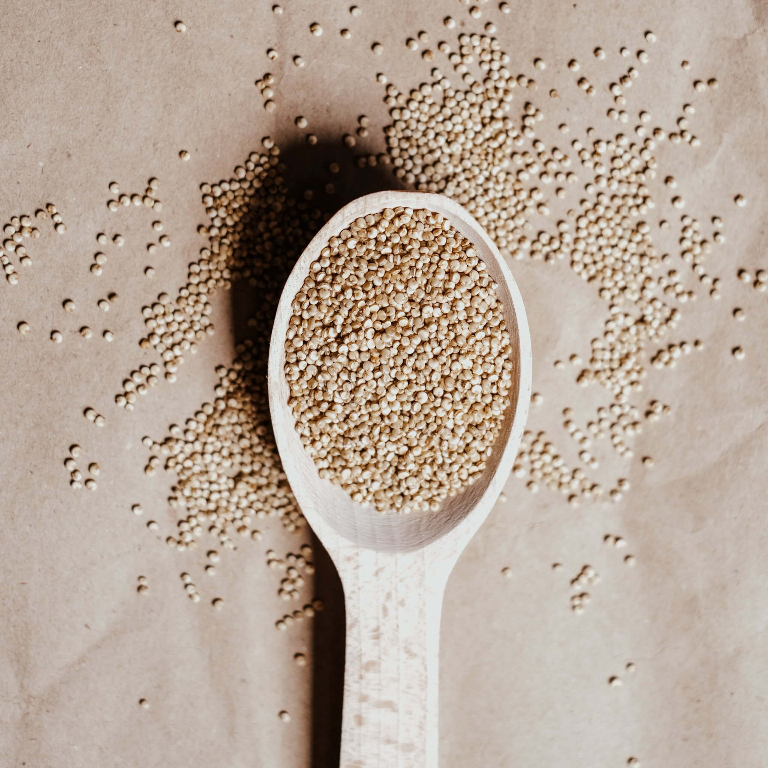vegan, vegetarisch, private label, tofu, protein, linsen, edamame, tempeh, cashew, nährhefe, quinoa, bohnen, veganismus, vegetarismus, veganer, vegetarier, proteinzufuhr