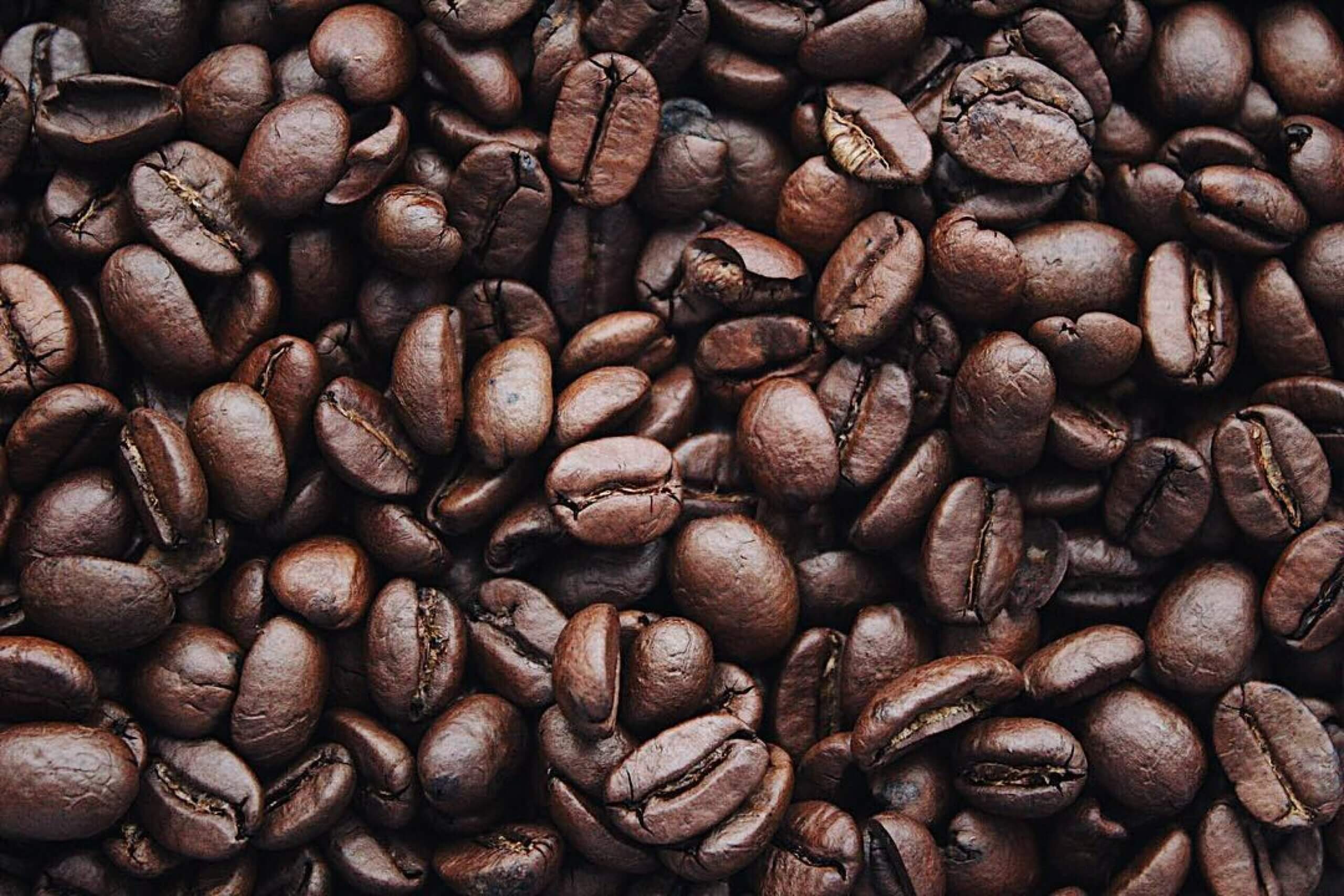 Kaffeebohnen, Kaffee vs. Matcha für deine Private-Label-Bohnen