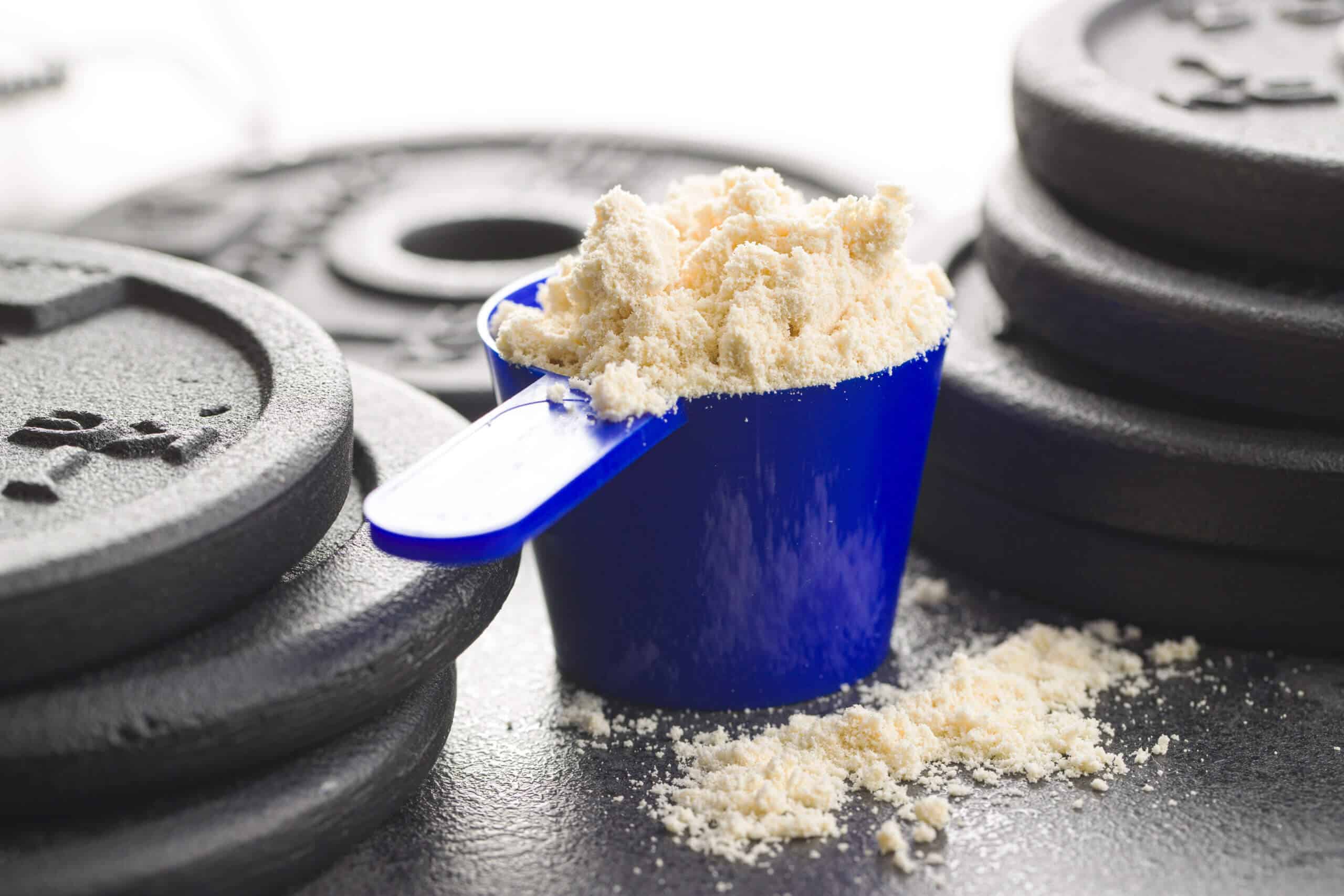 Molkenproteinpulver im Messlöffel.