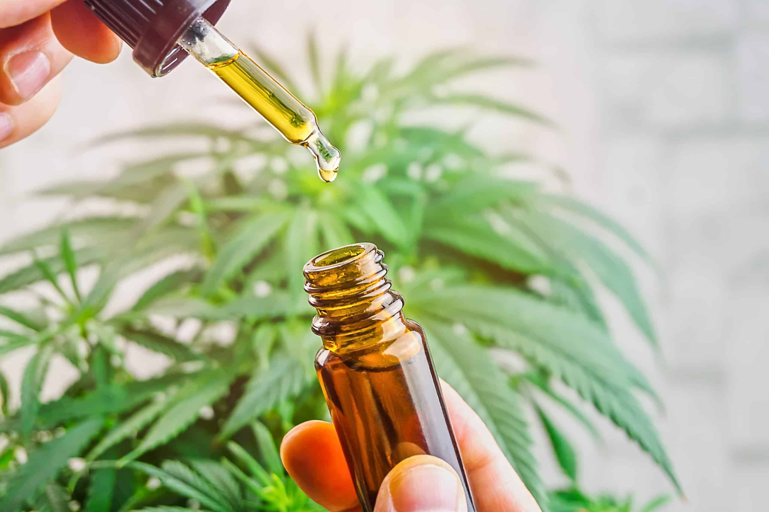 CBD oil and cannabis leaves at white table. Medicine and cosmetic product. Flat lay image.