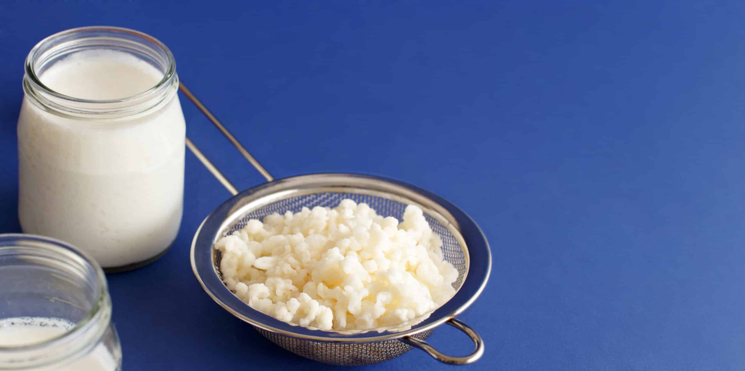Fermented drink kefir in jars and kefir grains on a blue background close up