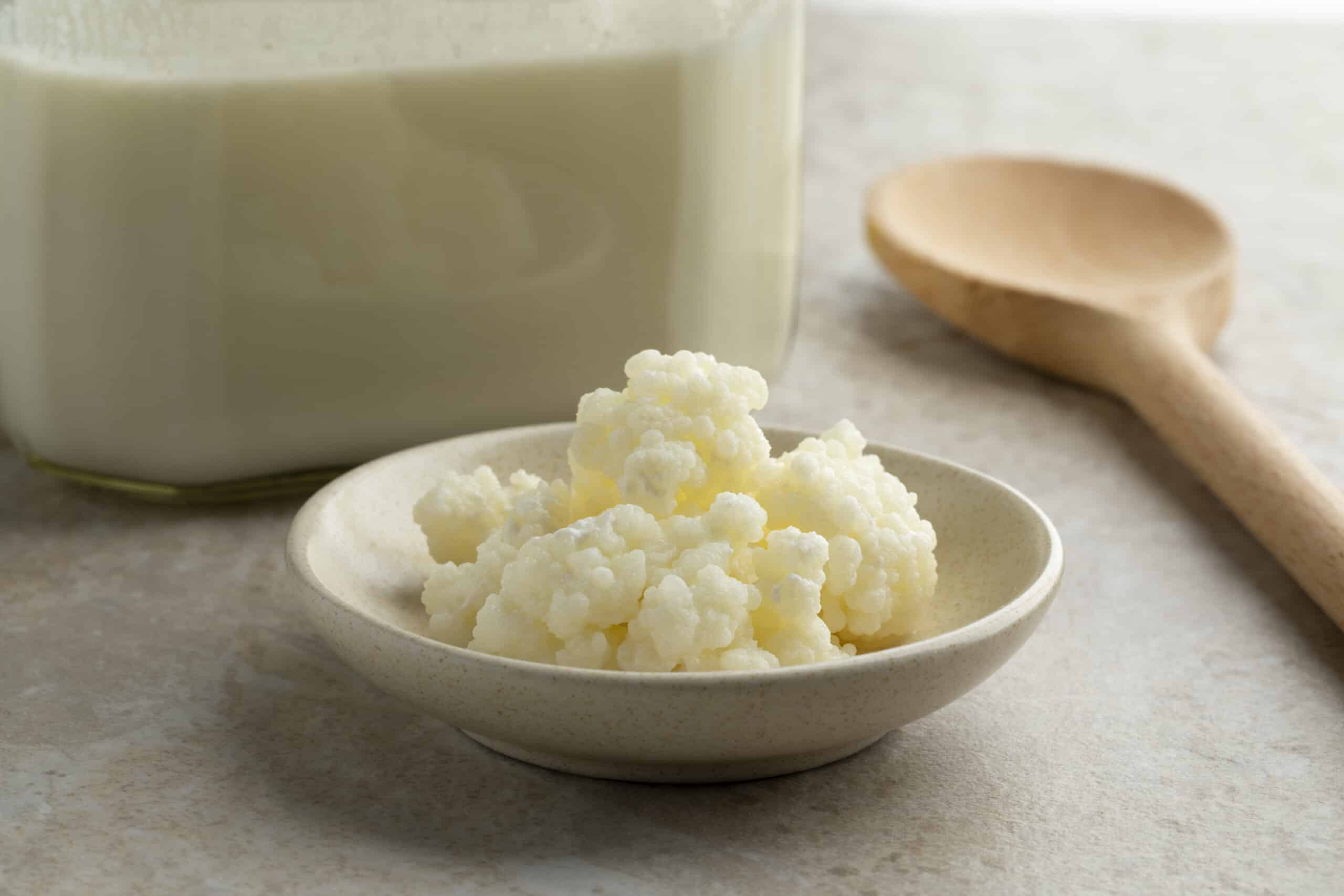 Organic probiotic milk kefir grains in front of a glass jar Kefir milk