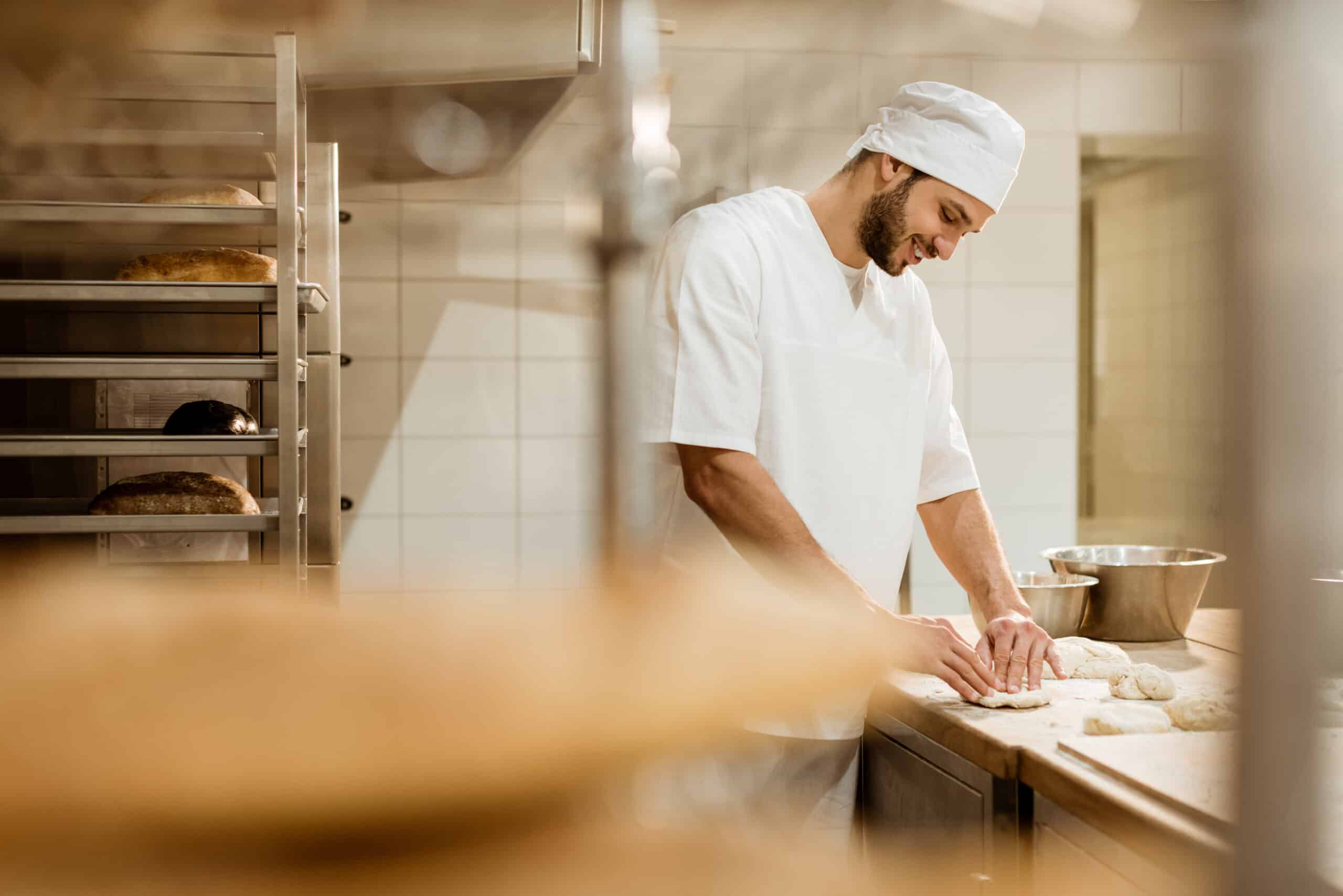 baker on baking manufacture