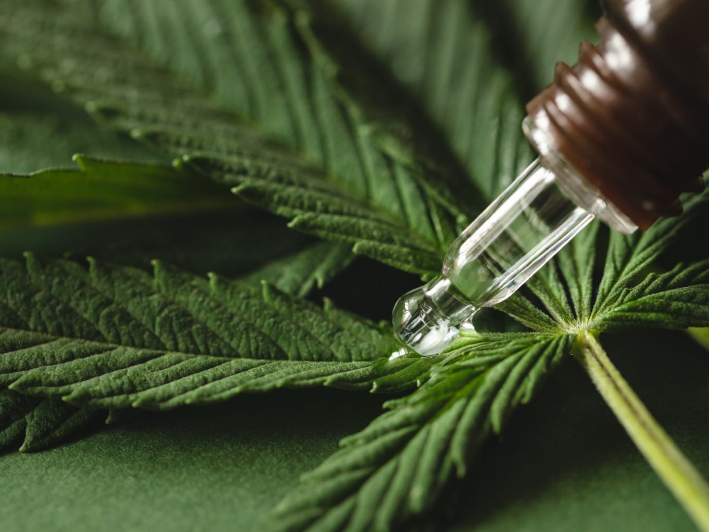 Cannabisextrakt auf Cannabisblättern vor grünem Hintergrund, Nahaufnahme.