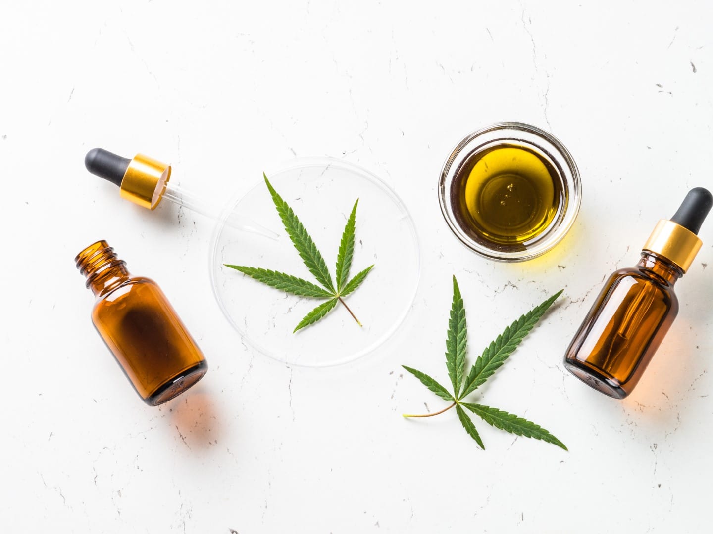 The Path to Sourcing CBD Products in Europe: A Comprehensive Guide