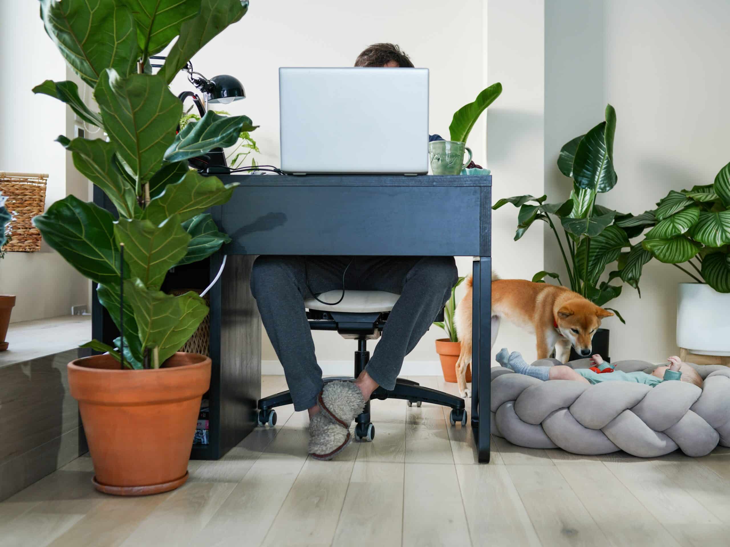 biophilic design as a home design trend 2023