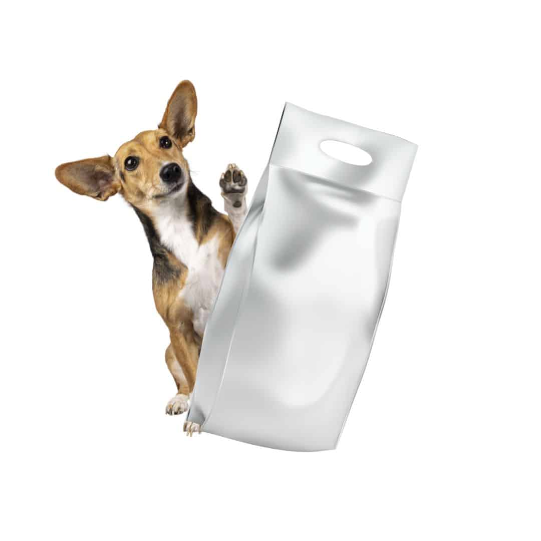 Pet Products