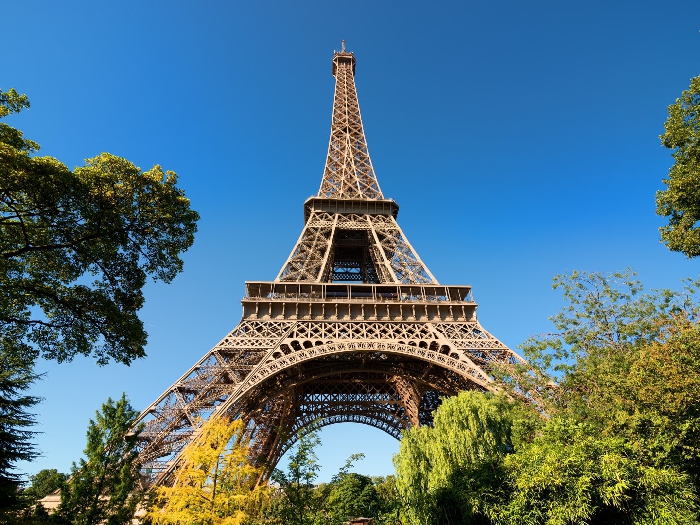 The 5 Best French D2C Brands of 2023