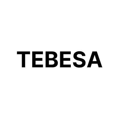 Tebesa UAB logo