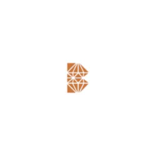 Bamina Co. logo