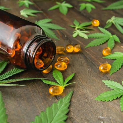 private label CBD capsules manufacturers