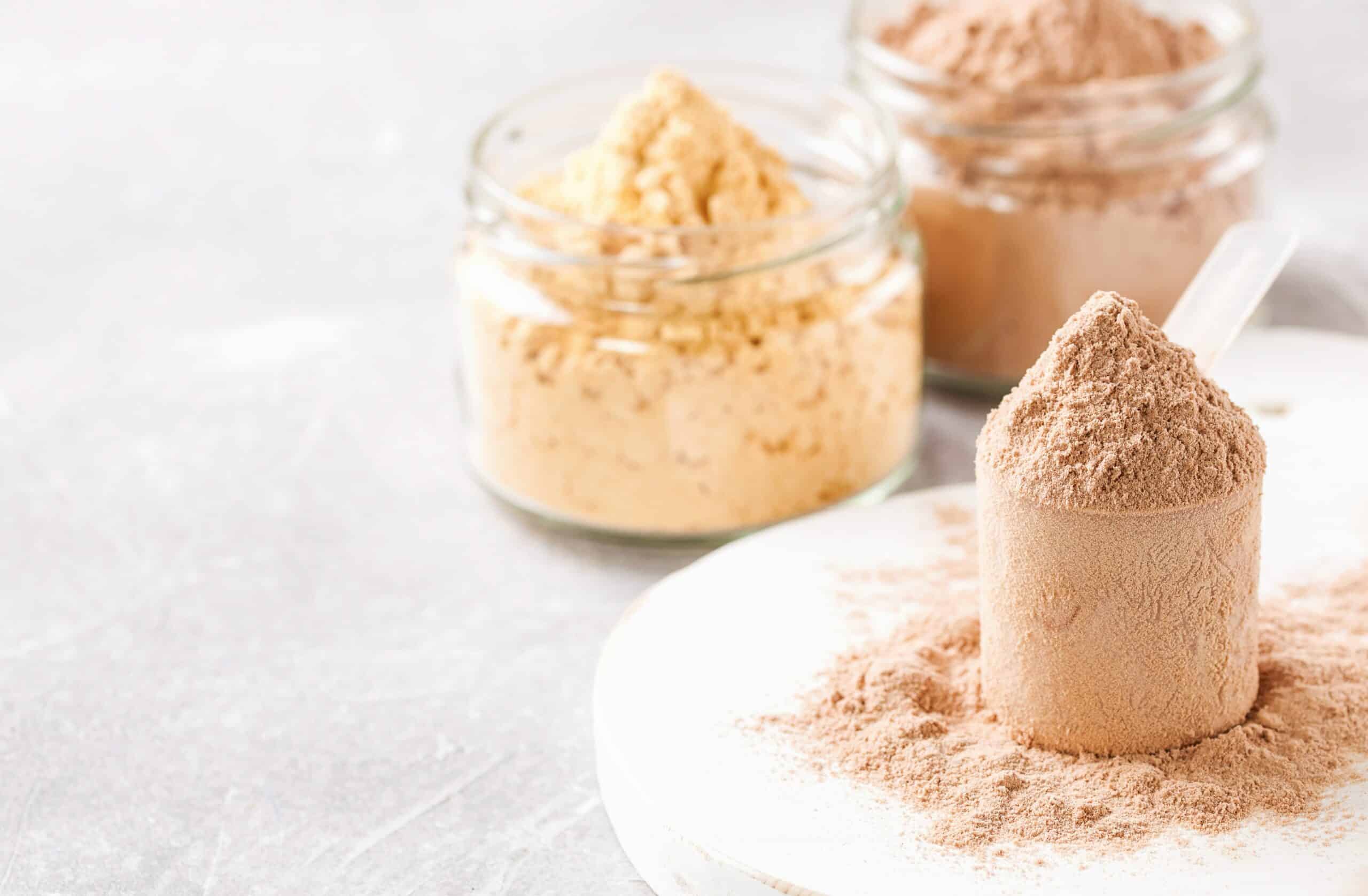 Protein powder
