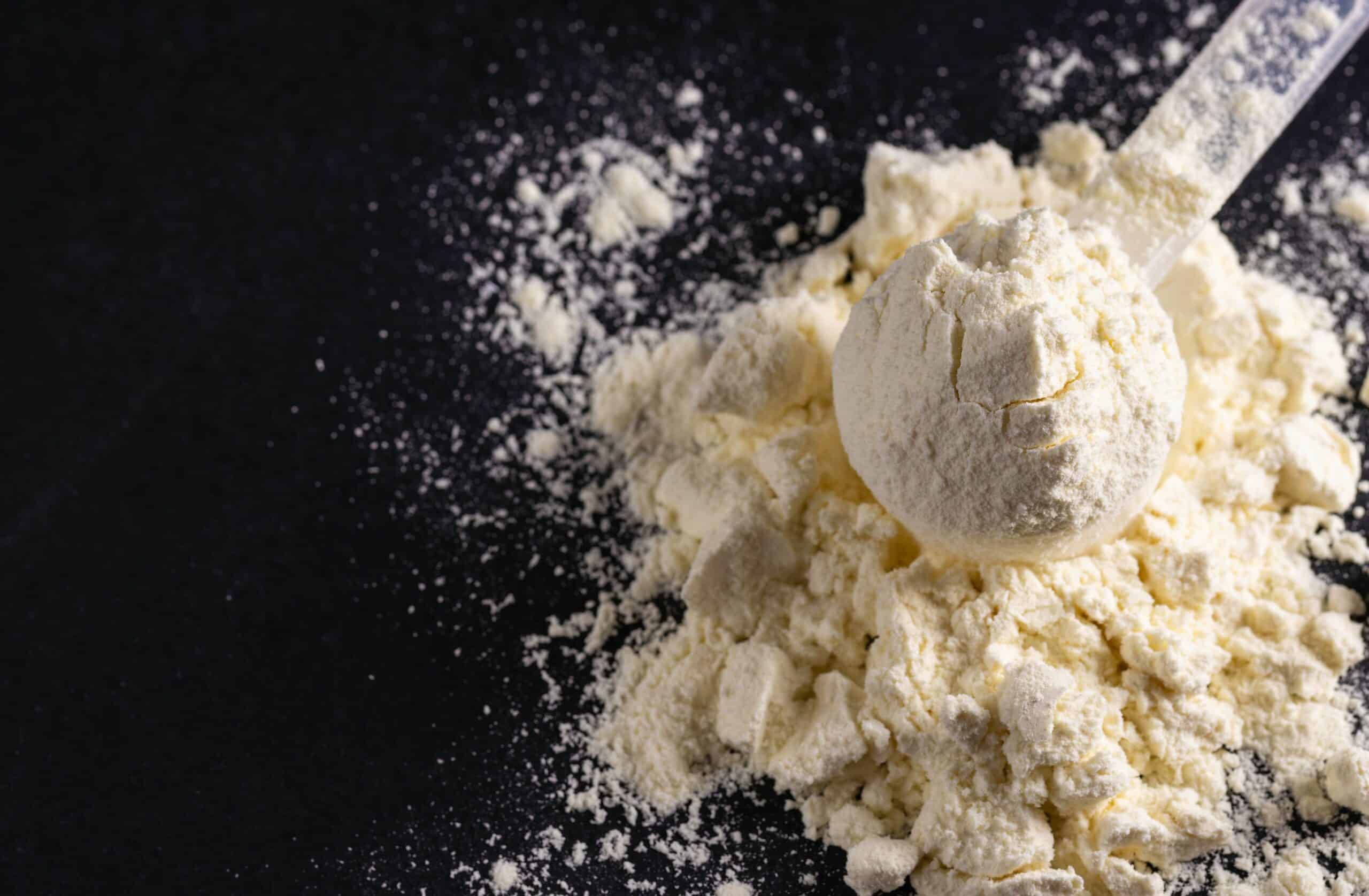Vegan protein powder