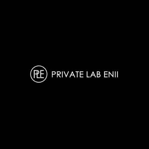 ENII logo
