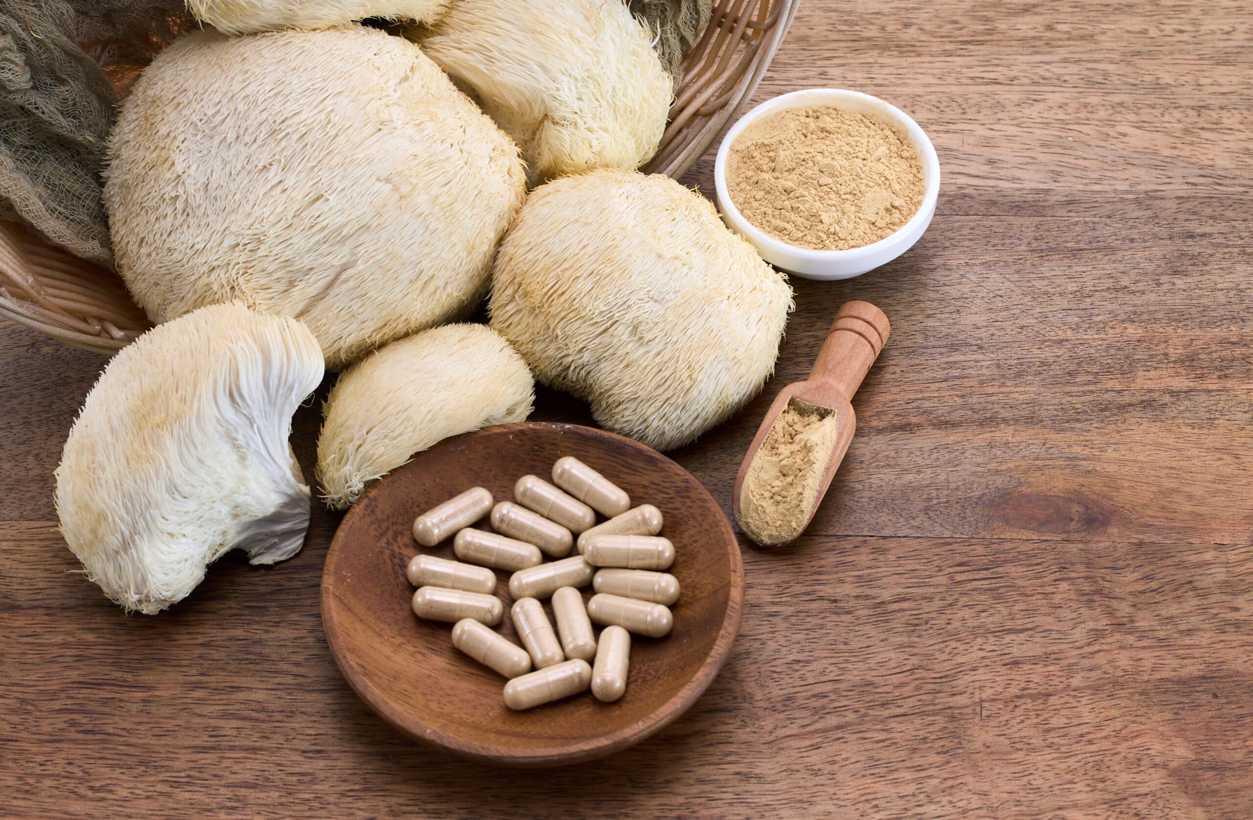Lion's Mane mushroom