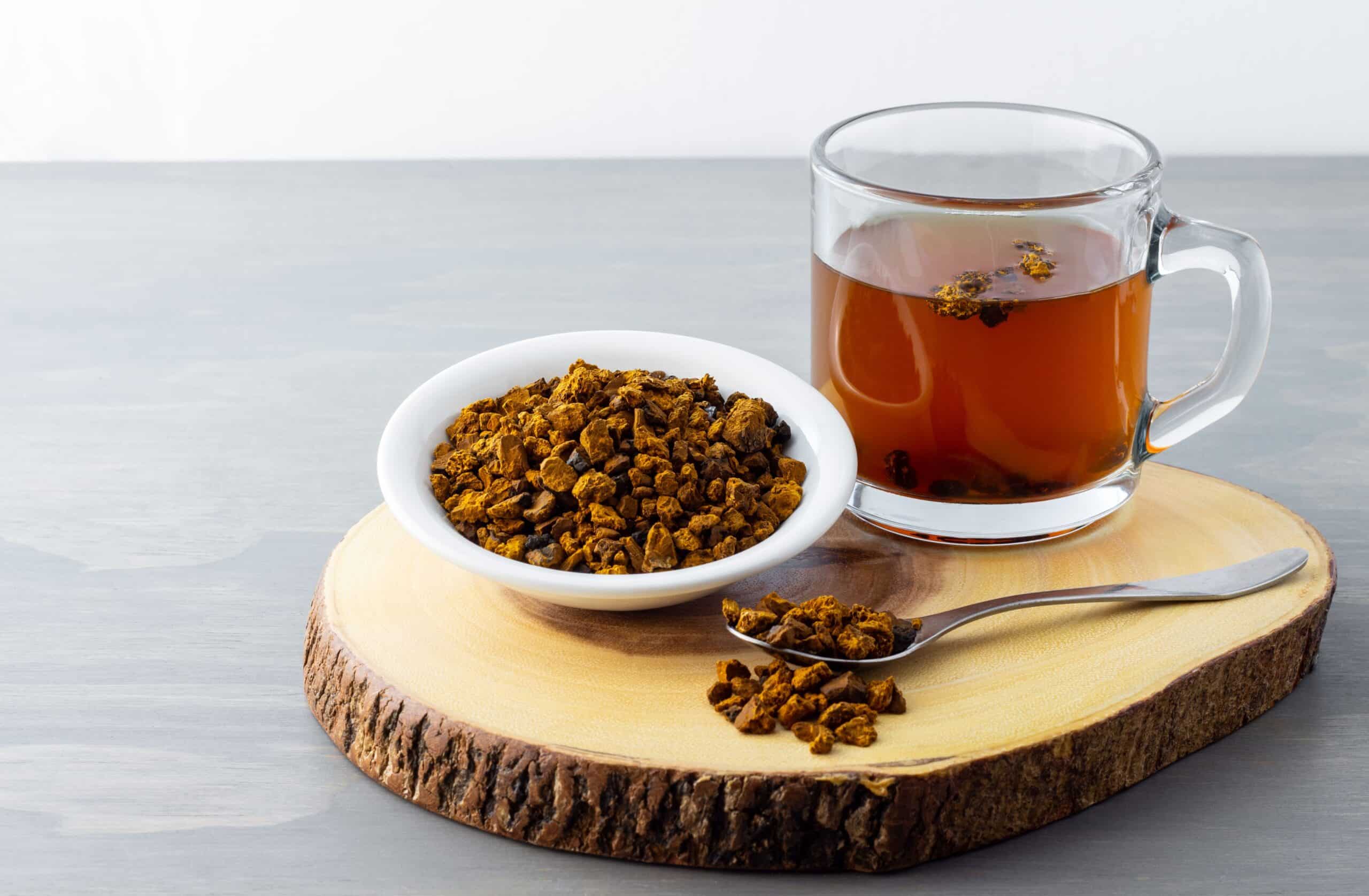 Chaga mushroom