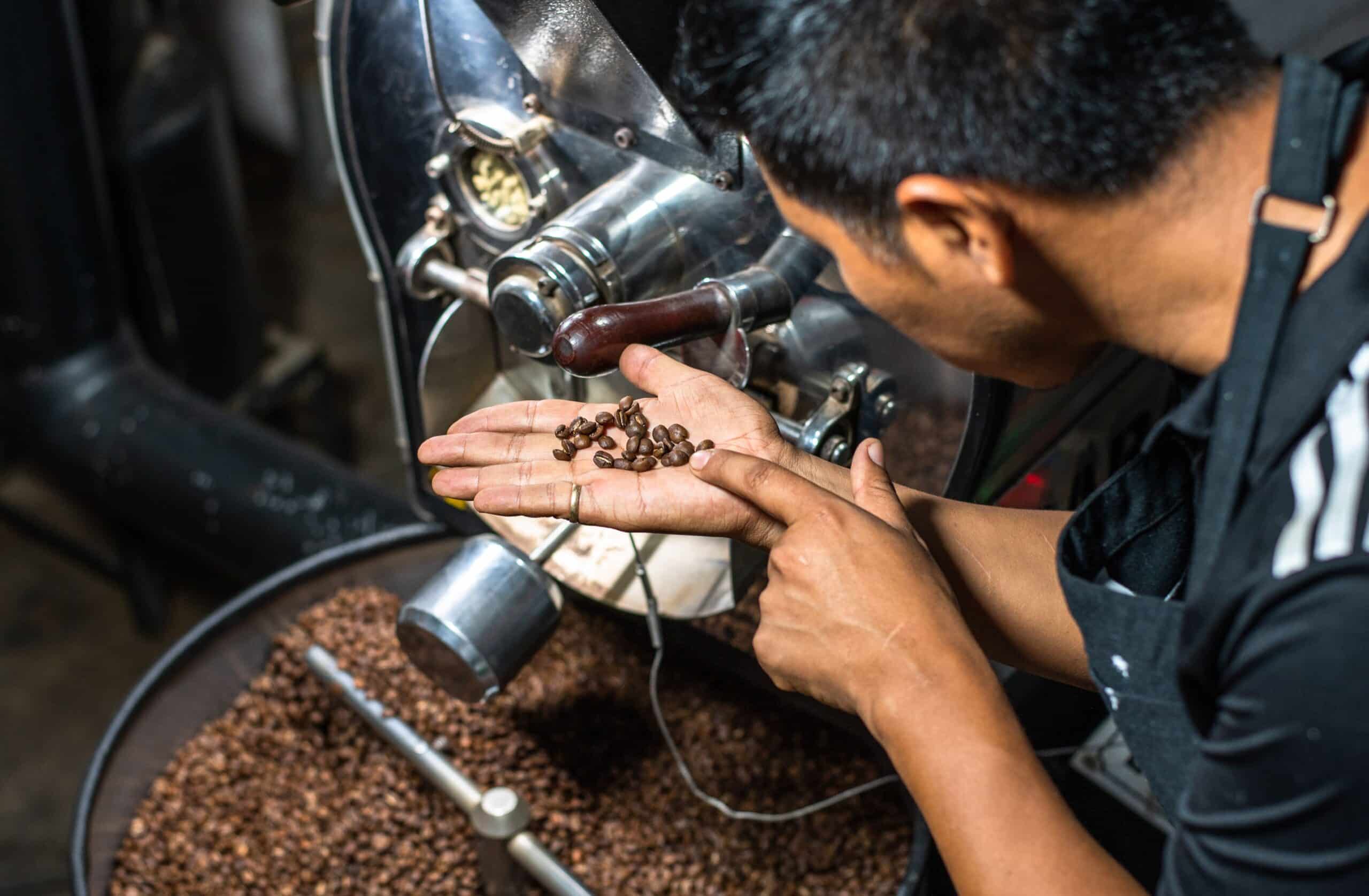 Mushroom coffee