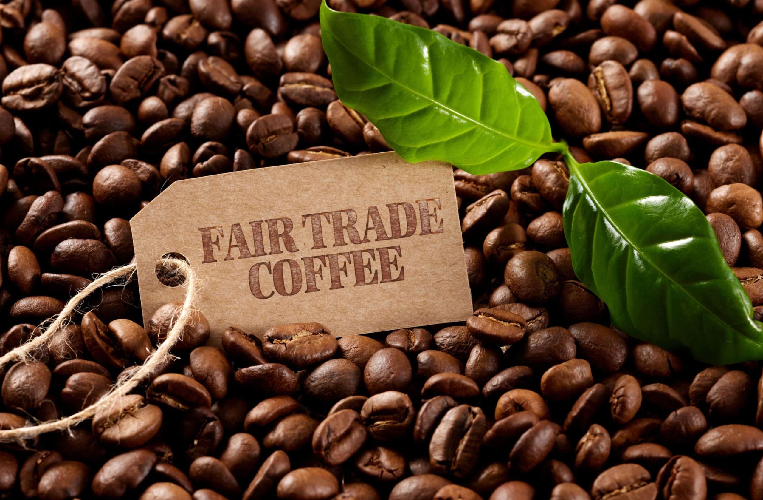 private label coffee trends 