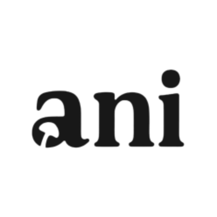 ANilab logo